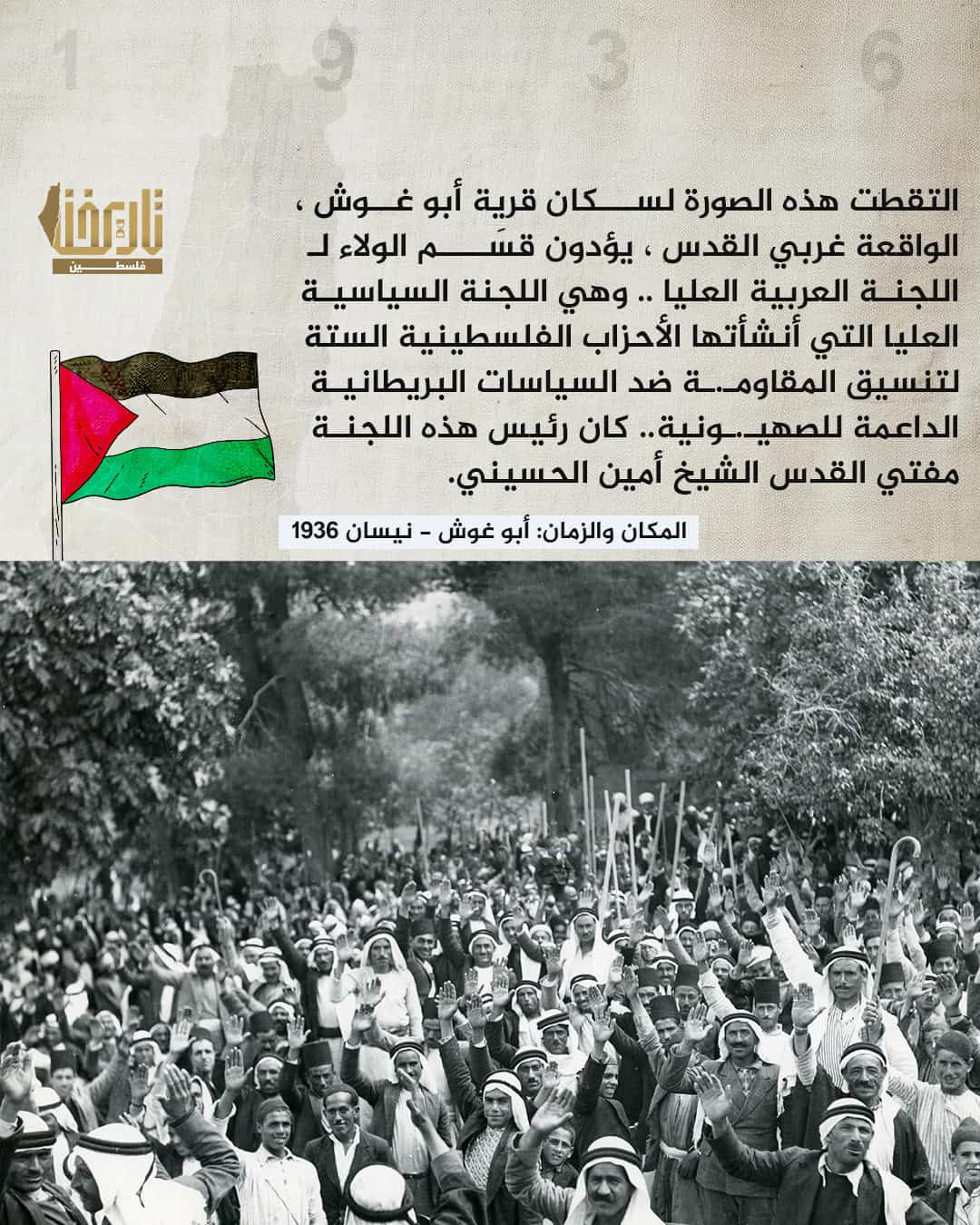 قسم الولاء | حكاية صورة